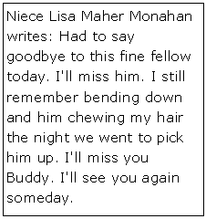 Text Box: Niece Lisa Maher Monahan writes: Had to say goodbye to this fine fellow today. I'll miss him. I still remember bending down and him chewing my hair the night we went to pick him up. I'll miss you Buddy. I'll see you again someday. 